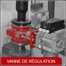 vanne de regulation Flowrox